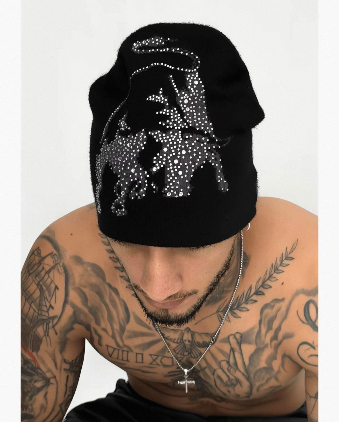 TECNINEGROUP Bull / Pegasus Beanie